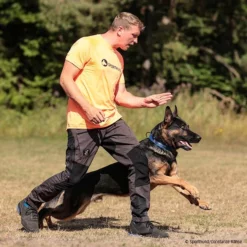 SPORTHUND Active-Shirt Herren Neon -Haustierzubehör Geschäft 5700690m07sporthund active shirt 5700691 dsh