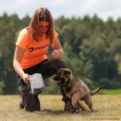 SPORTHUND Active-Shirt Damen Neon 6 SPORTHUND Active-Shirt Damen Neon -Haustierzubehör Geschäft 5700695m07sporthund active shirt 5700696 dsh