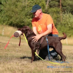 T-Shirt Teampartner -Haustierzubehör Geschäft 570070207t shirt doppelpack herren 5700702 labradorURynIHjt1BfKW