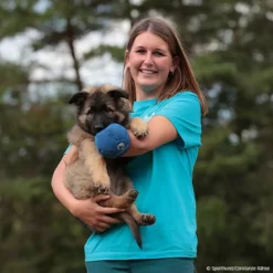 T-Shirt Trainingsweltmeister -Haustierzubehör Geschäft 570070307t shirt trainingsweltmeister damen 5700708 welpe