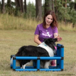 T-Shirt Vollgas Damen -Haustierzubehör Geschäft 570070907t shirt teampartner vollgas 5700709 sheltie 1UVpCZNyP4GI0j