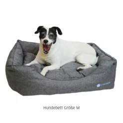 Sporthund Hundebett -Haustierzubehör Geschäft 6833280m072sporthund hundebett m anwendung2 6833284nJCKph6aswYE8