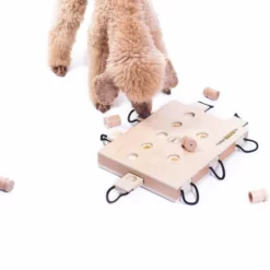 Geschicklichkeitsspiel IPet Smart Laptop -Haustierzubehör Geschäft 701363607ipet smart dog laptop anwendung2 7013636