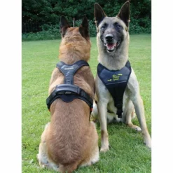 Hundeführgeschirr Follow SPORT 5 Hundeführgeschirr Follow SPORT -Haustierzubehör Geschäft 7017048m07follow sport gr l schwarz anwendungsbild 7017050 7017048 7017049 7017051