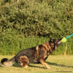 MOPIK HULA -Haustierzubehör Geschäft 702132606mopik hula blau gruen p4dc8322 7021326i3VKbhQ8D9lQh