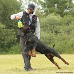 MOPIK HULA -Haustierzubehör Geschäft 7021326071mopik hula blau gruen p4dc6235 7021326PooQwwpWHZlBB