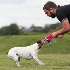 MOPIK HULA -Haustierzubehör Geschäft 702132607mopik hula lila pink p4dc3013 7021326SyEtfpj2FGMYV