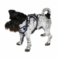 Hunter Hundegeschirr Divo Reflect -Haustierzubehör Geschäft 7021931m072hunter geschirr divo reflect anwendung zwergschnauzer 7021932