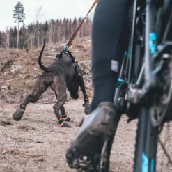 Non-Stop Protector Bootie -Haustierzubehör Geschäft 702212307non stop protector bootie anwendung2 7022123