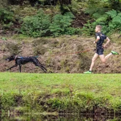 Non-Stop Dogwear Bungee Leash 2m -Haustierzubehör Geschäft 702212507non stop dogware bungee leash anwendung 7022125