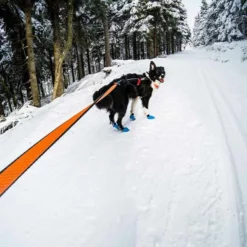 Non-Stop Dogwear Bungee Leash 2,8m 7 Non-Stop Dogwear Bungee Leash 2,8m -Haustierzubehör Geschäft 7022126071non stop dogware bungee leash anwendung2 7022125