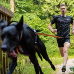 Non-Stop Dogwear Bungee Leash 2,8m 6 Non-Stop Dogwear Bungee Leash 2,8m -Haustierzubehör Geschäft 702212607non stop dogware bungee leash anwendung3 7022125