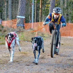 Non-Stop Dogwear Bungee Leash Double 7 Non-Stop Dogwear Bungee Leash Double -Haustierzubehör Geschäft 7022127071bungee leash pro double anwendung2 7022127