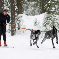 Non-Stop Dogwear Bungee Leash Double 6 Non-Stop Dogwear Bungee Leash Double -Haustierzubehör Geschäft 702212707bungee leash pro double anwendung 7022127