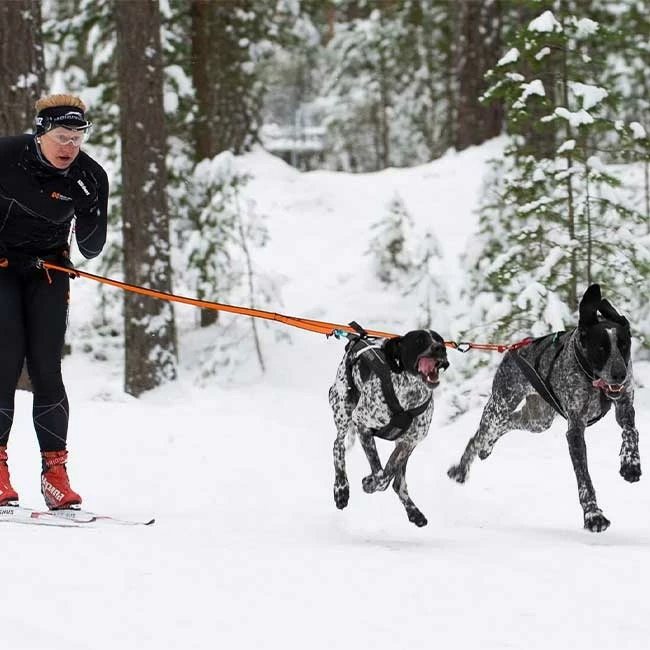 Non-Stop Dogwear Bungee Leash Double 3 Non-Stop Dogwear Bungee Leash Double – Bild 3