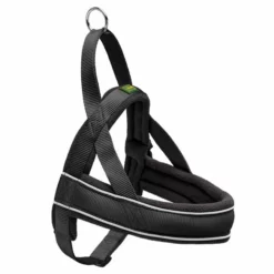 Haustierzubehör Geschäft 40 Hunter Norwegergeschirr Racing Schwarz