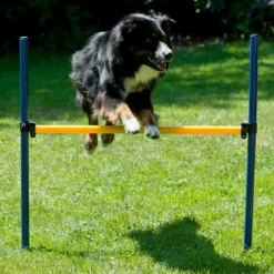 Agility Einsteigerset Hürden, Slalom, Box -Haustierzubehör Geschäft 7030366071agility huerden und slalomset huerde 70303661HNfOi42XjrCr