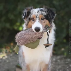 Duck Dummy Mit Fell -Haustierzubehör Geschäft 703038707duck dummy mit fell anwendung 7030387ooBMlC0Ele4bg