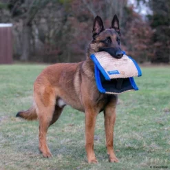 Sporthund Technikkissen Midas -Haustierzubehör Geschäft 726208507sporthund technik kissen midas 7262085 malinoisLQAagw8ghElY3