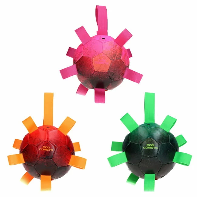 Dog Comets Hypernova 2 Dog Comets Hypernova – Bild 2