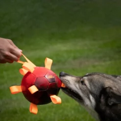 Dog Comets Hypernova 6 Dog Comets Hypernova -Haustierzubehör Geschäft 7265140m06dog comets hypernova anwendung 7265140m