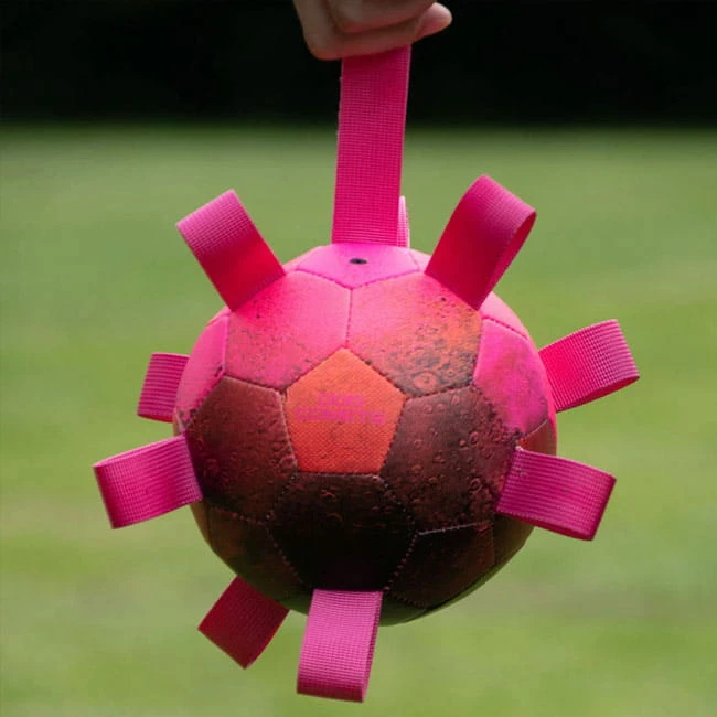 Dog Comets Hypernova 4 Dog Comets Hypernova – Bild 4