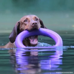 PULLER-Ringe -Haustierzubehör Geschäft 7270770m071pullerringe p4dc9416 7270772LMKCHSESMIfHJ