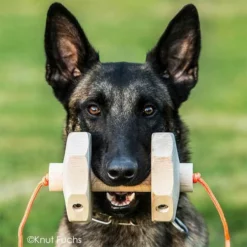 Sporthund IGP-Apportierholz 650g Havatar -Haustierzubehör Geschäft 7281406072knutfuchs havatar 7281406 malinoisD3NaG0zYmg89A