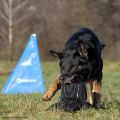 Sporthund Triple Star Kissen 7 Sporthund Triple Star Kissen -Haustierzubehör Geschäft 7334208071sporthund triplestarkissen 7334208 dshUN5K3a3eMNTtD