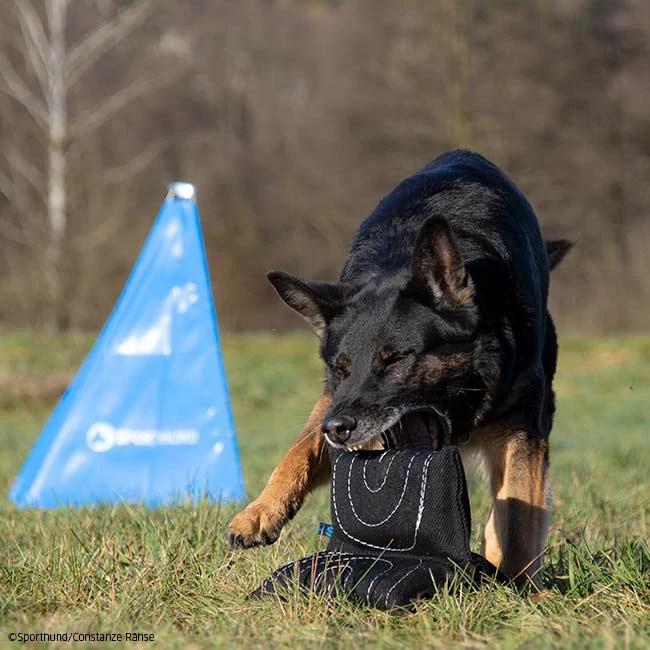 Sporthund Triple Star Kissen 4 Sporthund Triple Star Kissen – Bild 4