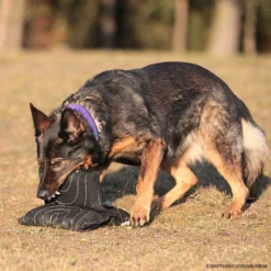 Sporthund Triple Star Kissen 6 Sporthund Triple Star Kissen -Haustierzubehör Geschäft 733420807sporthund triplestarkissen 7334208 dhs16zlEzzWqC3Atb