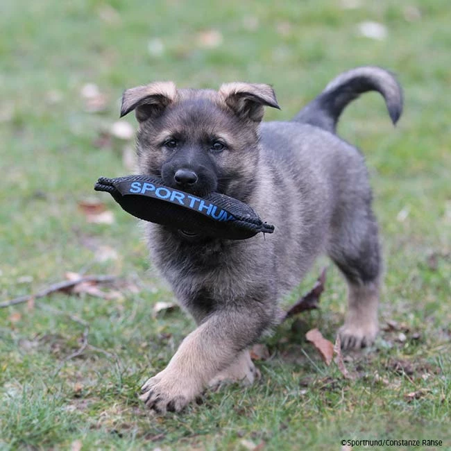 Mini Bestätigungskissen 2 Mini Bestätigungskissen – Bild 2