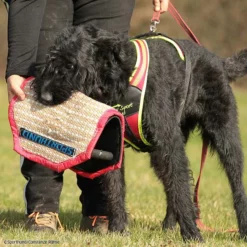 3-Griff-Kissen Plus -Haustierzubehör Geschäft 7334222071sporthund 3griffkissen p4dc5742 7334222