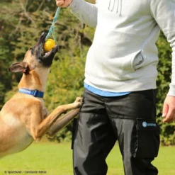 Hundeführerhose Schwarz -Haustierzubehör Geschäft 7335222071sporthund hundefuhrerhose schwarz 7335222 hf1