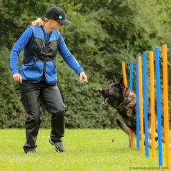 Sporthund Netzweste Fashion 7 Sporthund Netzweste Fashion -Haustierzubehör Geschäft 7335254071sporthund netzweste fashion 7335254 dsh