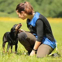 Sporthund Netzweste Fashion 6 Sporthund Netzweste Fashion -Haustierzubehör Geschäft 733525407sporthund netzweste fashion 7335254 brackerdTv8EeEJRCDj