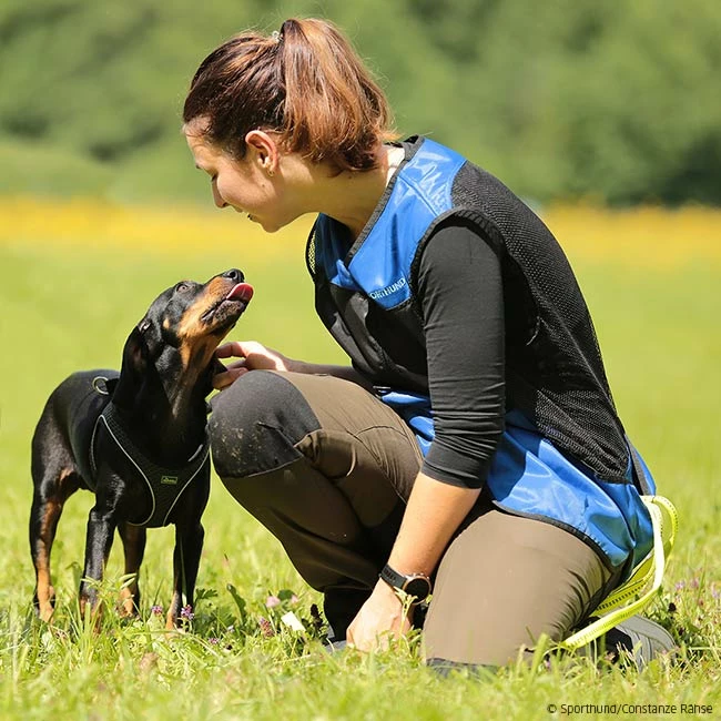 Sporthund Netzweste Fashion 3 Sporthund Netzweste Fashion – Bild 3