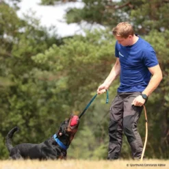 Haustierzubehör Geschäft -Haustierzubehör Geschäft 735423706sporthund bomba beisssack 7354237 rottweiler2