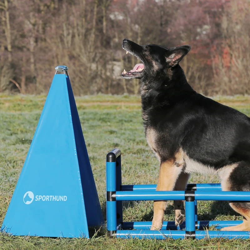 Sporthund Q-Box 4 Sporthund Q-Box – Bild 4
