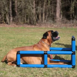 Sporthund Q-Box 11 Sporthund Q-Box -Haustierzubehör Geschäft 73572100737357210 sporthund q box platz neu05AtVEl4JKtrI