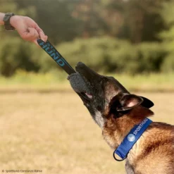 Sporthund Plüschwürfel 7 Sporthund Plüschwürfel -Haustierzubehör Geschäft 7425086071sporthund pluschwurfel 7425086 malinois 2fqLdJfkwQ6ytu