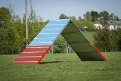 Dogsworld Agility A-Wand