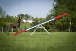Dogsworld Agility Wippe Mit Tartanbelag