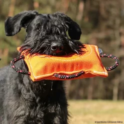 FreshLine Keilförmiges Beißkissen Nylcot -Haustierzubehör Geschäft freshline keilfoermigesbeisskissen p4dc5288 7425065yM2F6JYXoW0zq