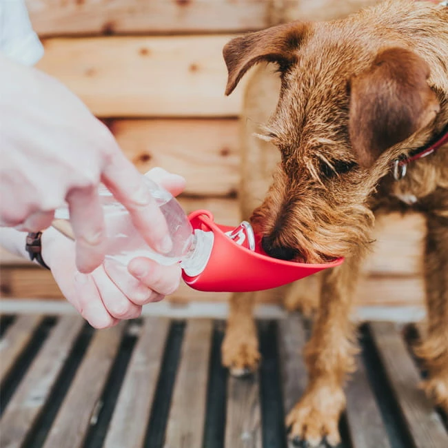 Hunter Outdoor Trinkflasche Mit Silikonnapf 3 Hunter Outdoor Trinkflasche Mit Silikonnapf – Bild 3