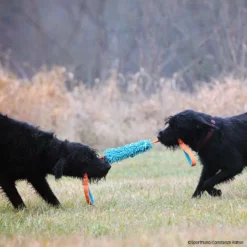 MOPIK KRABIK -Haustierzubehör Geschäft mopik krabik orang blau p4dc0187 7021325dnlCObf3Exuw9