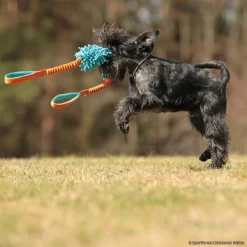 MOPIK KRABIK -Haustierzubehör Geschäft mopik krabik orang blau p4dc5387 7021325cX8i6p3N6jj4N