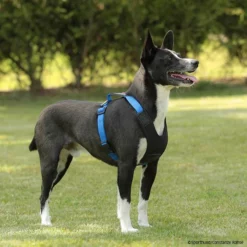 Haustierzubehör Geschäft -Haustierzubehör Geschäft niggeloh followstart p4dc9050 7017109