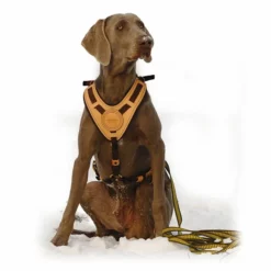 Niggeloh Geschirr Mantrailing 5 Niggeloh Geschirr Mantrailing -Haustierzubehör Geschäft niggeloh geschirr mantrailing anwendung 7017100wkXplHKuEBTA8