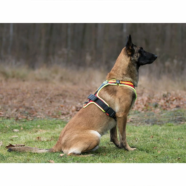 Hundeführgeschirr Follow Sport PLUS 4 Hundeführgeschirr Follow Sport PLUS – Bild 4